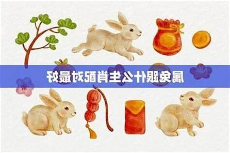 兔子的三合