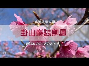 鳳鳴山
