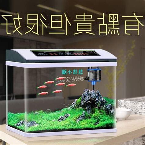辦公桌放魚缸