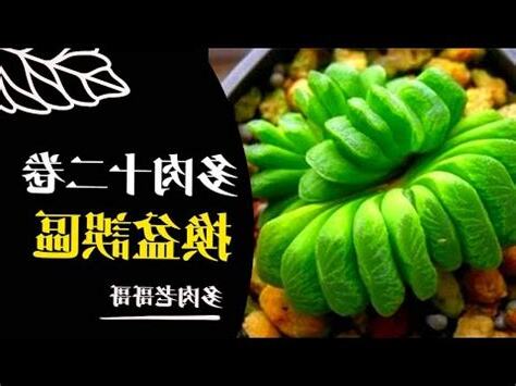 十二之卷風水