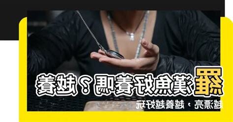 羅漢魚好養嗎