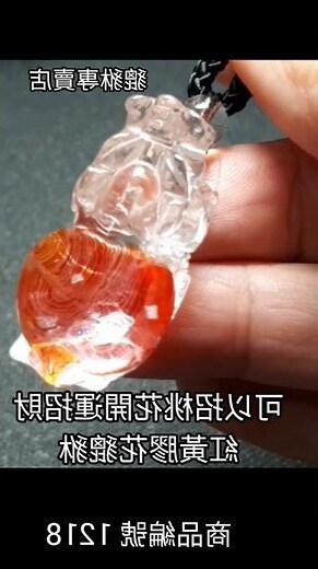 黃膠花五行