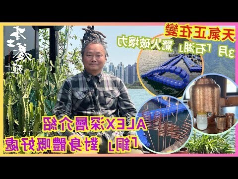 戴銅的好處