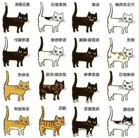 相猫经