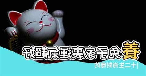 養兔子招財