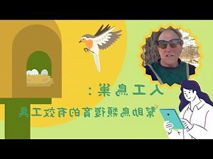 家裡鳥巢