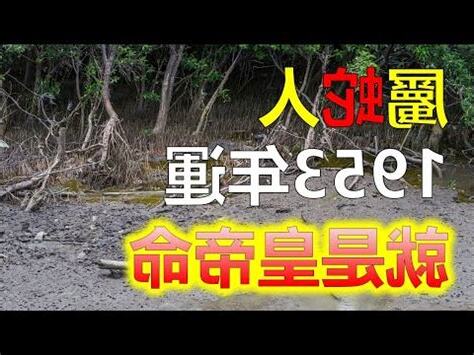 蛇年出生的人幾歲