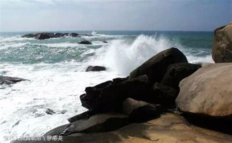 屬龍樓層