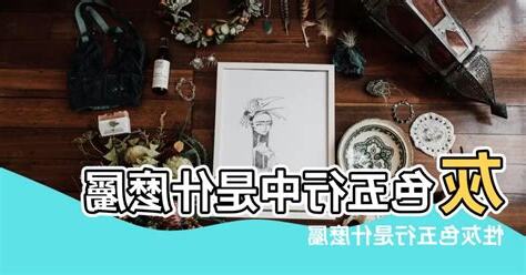 淺灰色五行屬性