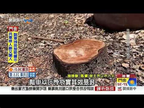 門口對面有樹