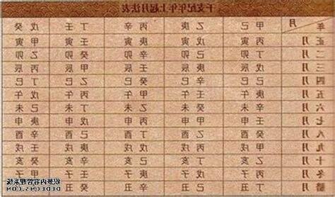 壬辰男