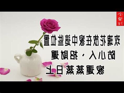 玫瑰花可以放房間嗎