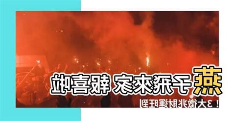 家裡飛來燕子