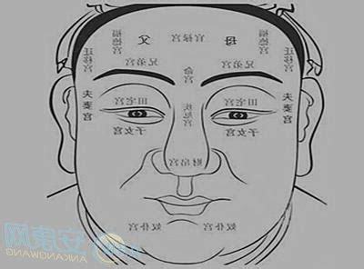 犀牛骨面相