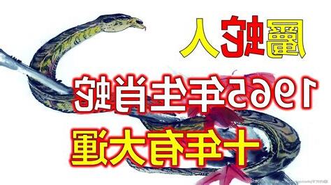 屬蛇年次