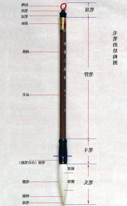 漲姿勢