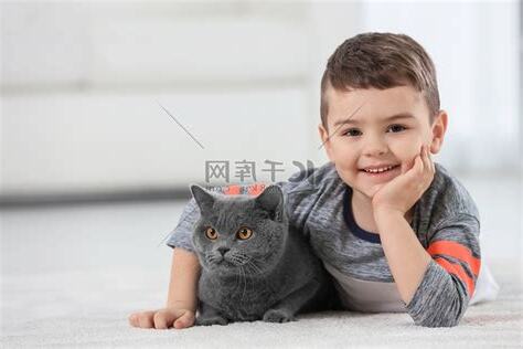 猫在家生孩子