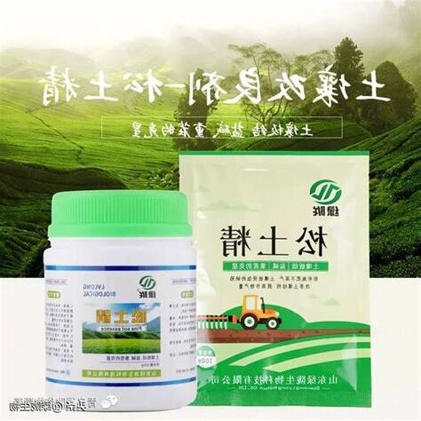 桑鬆土命是什麼