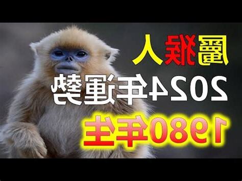 1980年屬猴人的命運