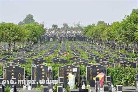 夢到公墓