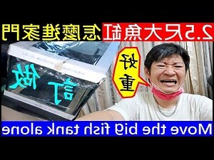 進門見魚缸
