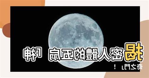 五扇門