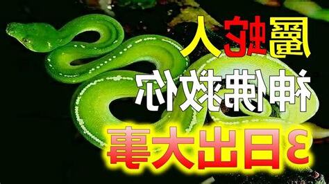 蛇皮好運