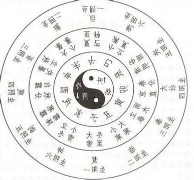 戊寅五行