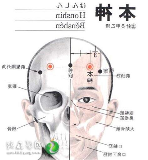 本神穴