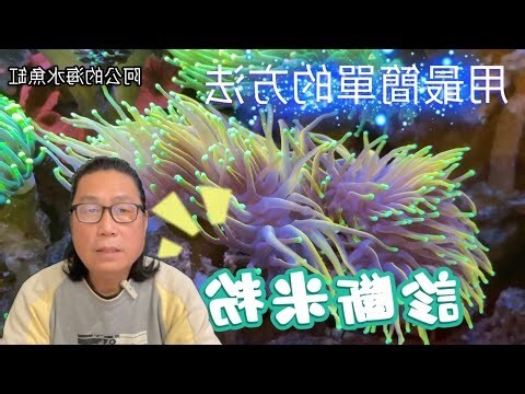 魚缸放置位置