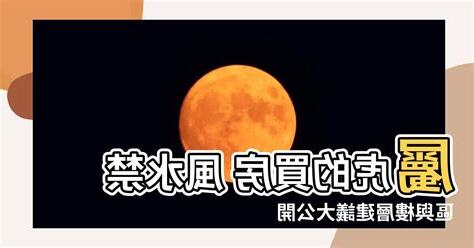 2023屬虎買房