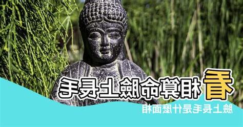臉頰長毛面相