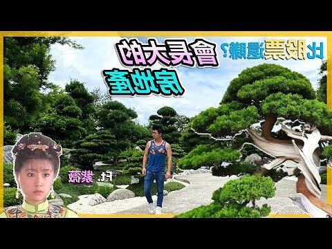 樟樹味道