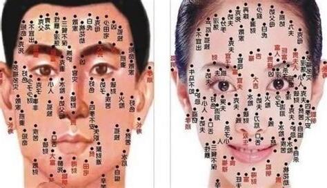 身體很多痣