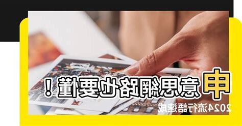 申甲網路意思