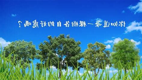 種樹好處