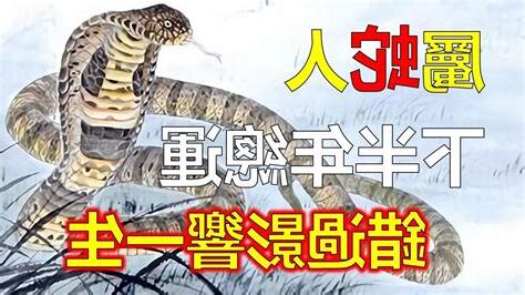 屬蛇運勢