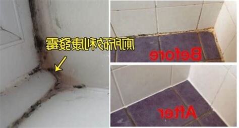 廁所天花發黴