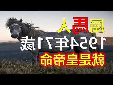 屬虎屬馬