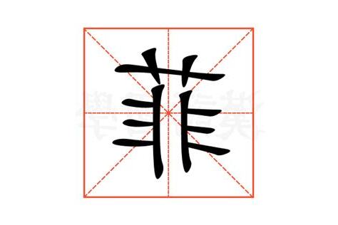 菲字意思