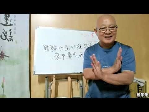 真炁意思