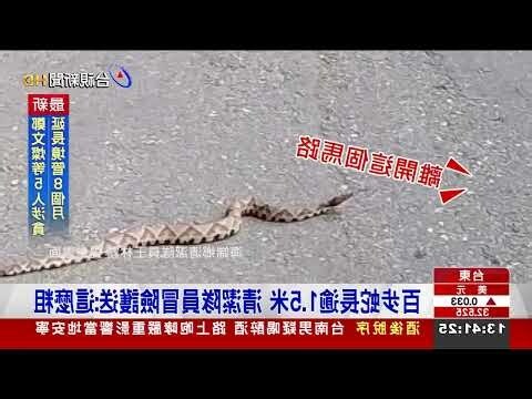 馬路怕什麼