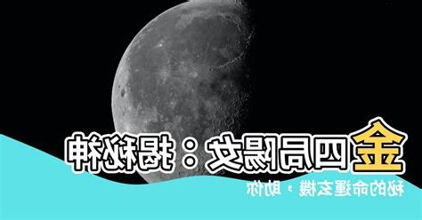 陽女金四局