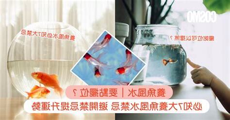 養魚禁忌