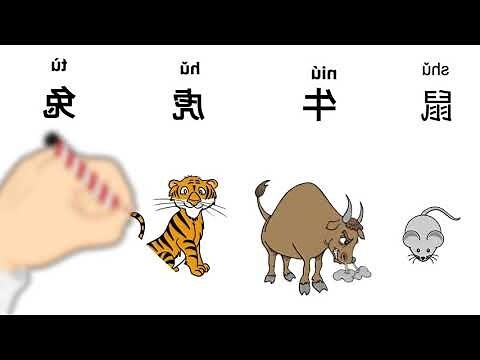 02属什么