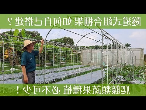 植物棚架