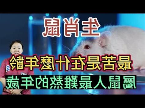屬老鼠