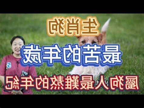 屬狗今年的運勢