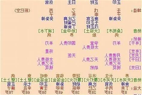 丁酉日主