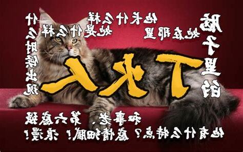 丁火人